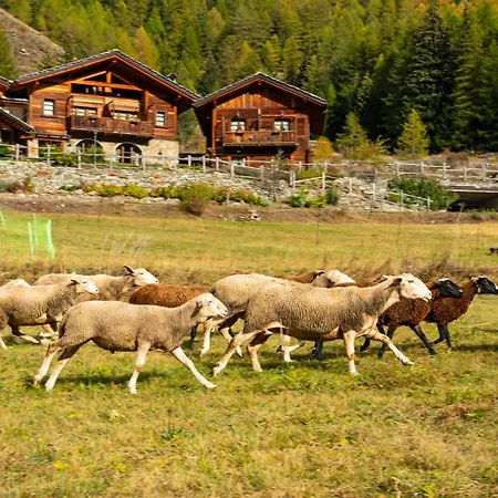 Agriturismo Plan De La Tour B&B-2